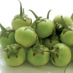 quả cà pháo