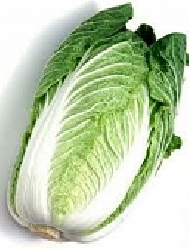 Cải thảo