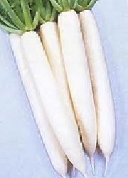 củ cải