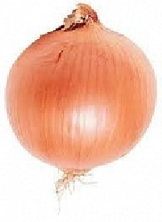 Hành tây
