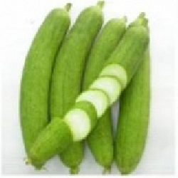 mướp hương