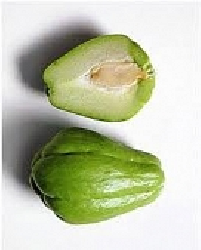 Quả su su