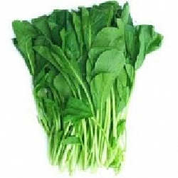 Rau cải ngọt