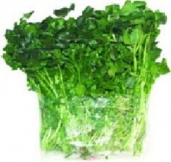 Rau cải xoong