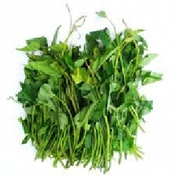 Rau muống