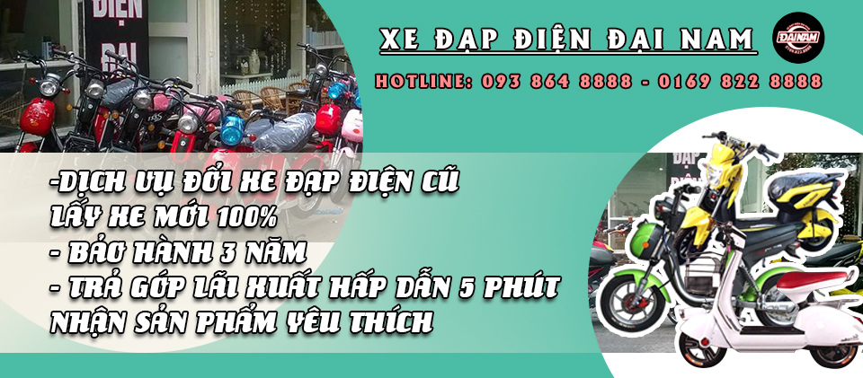 Xe đạp điện Đại Nam