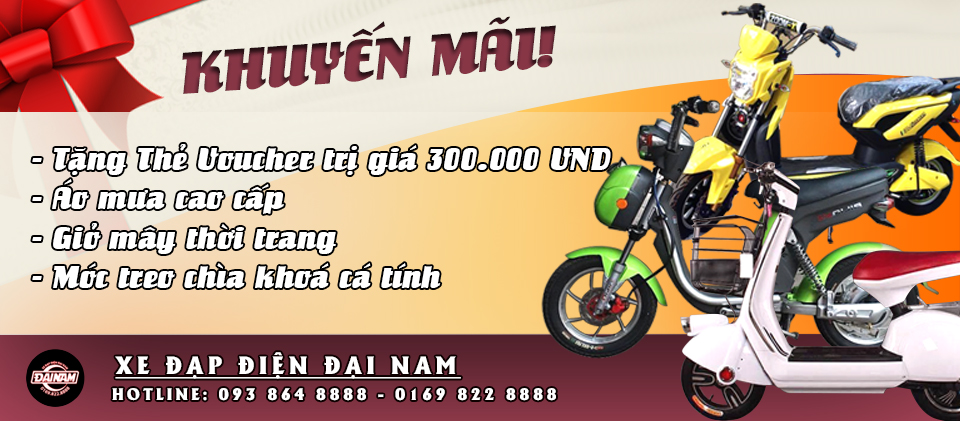 Xe đạp điện Đại Nam